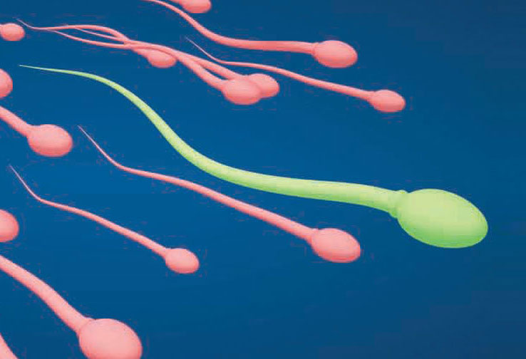Florida Institute for Reproductive Medicine photo