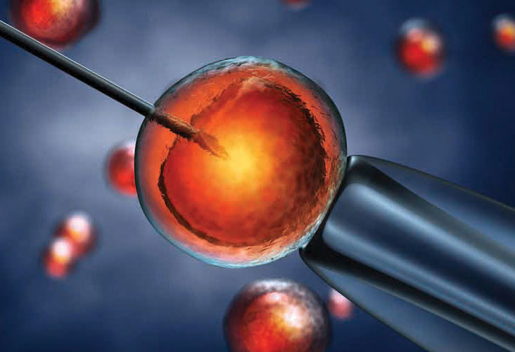 Florida Institute for Reproductive Medicine photo